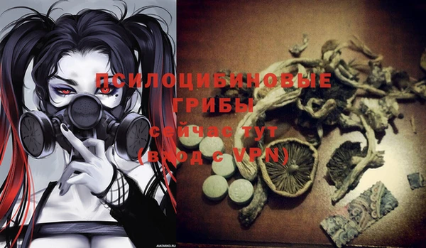 ECSTASY Магас