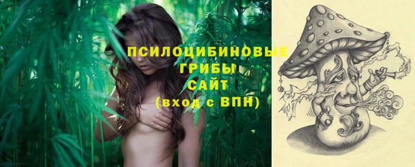 спиды Майский