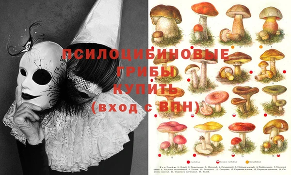 кокаин колумбия Балабаново